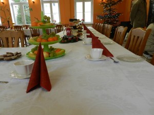 DSCN6661 (1)